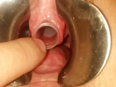 Drei nasse kostenlose pornofilme reife frauen Fotzen zum Spielen mit Video (Chloe Amour, Natalie Lust, Chrissy Greene)
