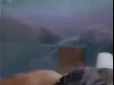 Phoenix Marie, Johnny pornofilme reife damen Castle im frechen Büro